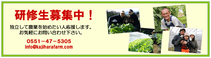 ���C����W